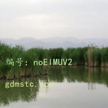 ѧ